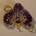 Preserved Orchid Brooch