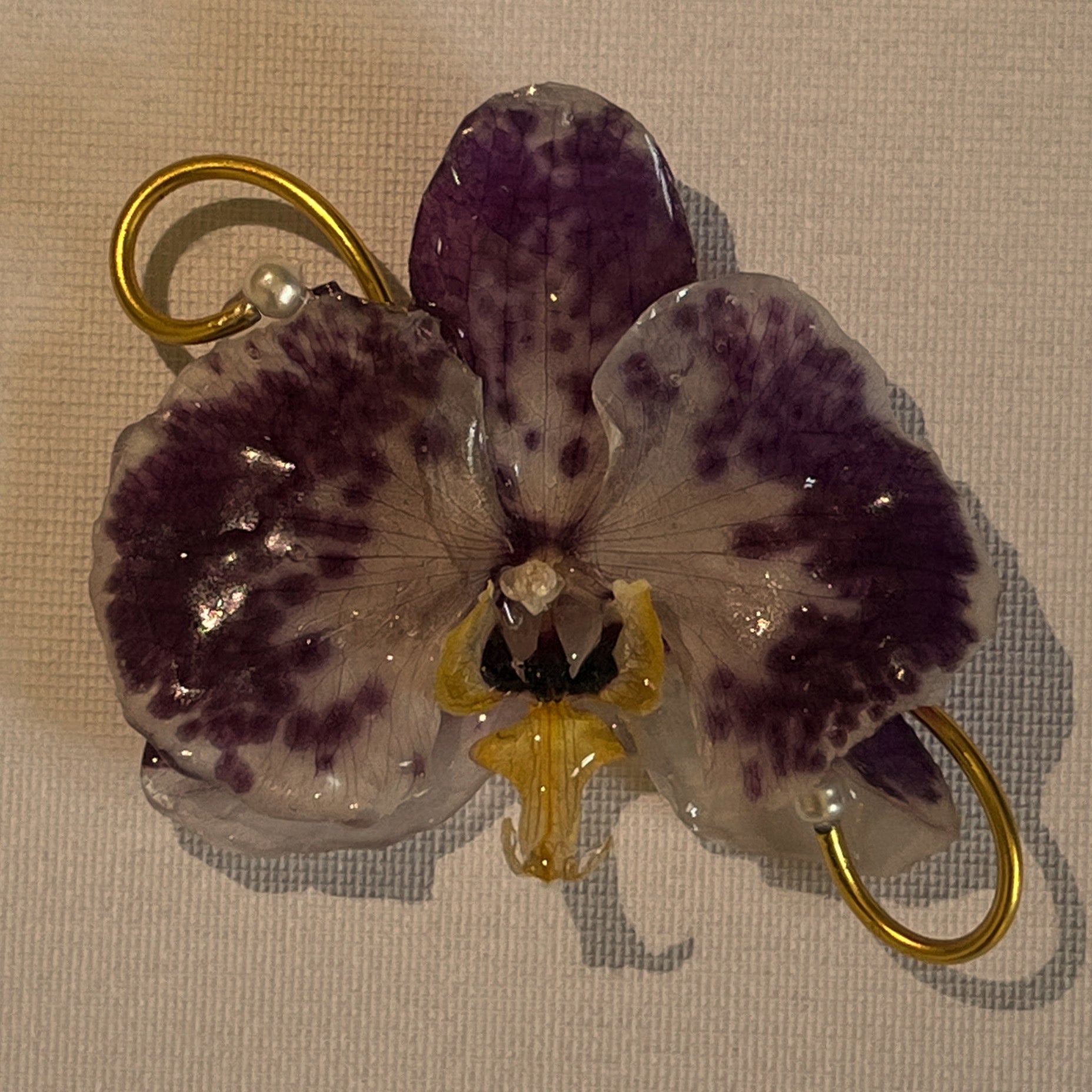 Preserved Orchid Brooch
