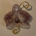 Preserved Orchid Brooch