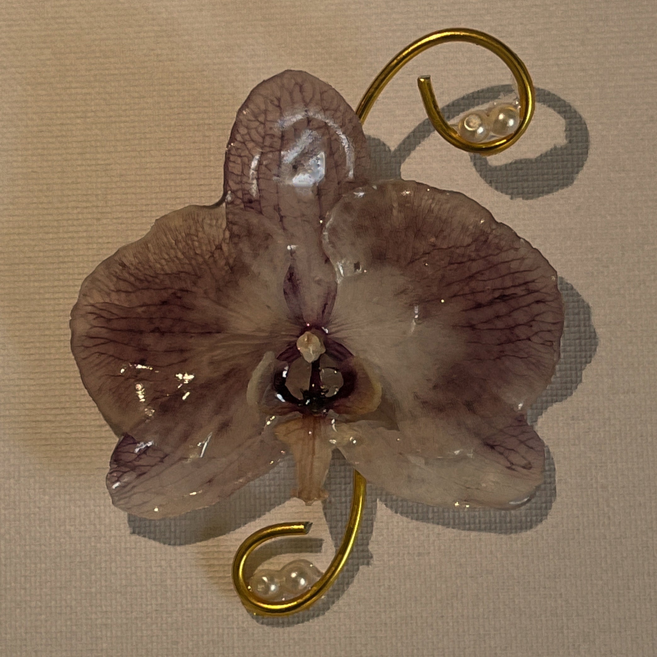 Preserved Orchid Brooch