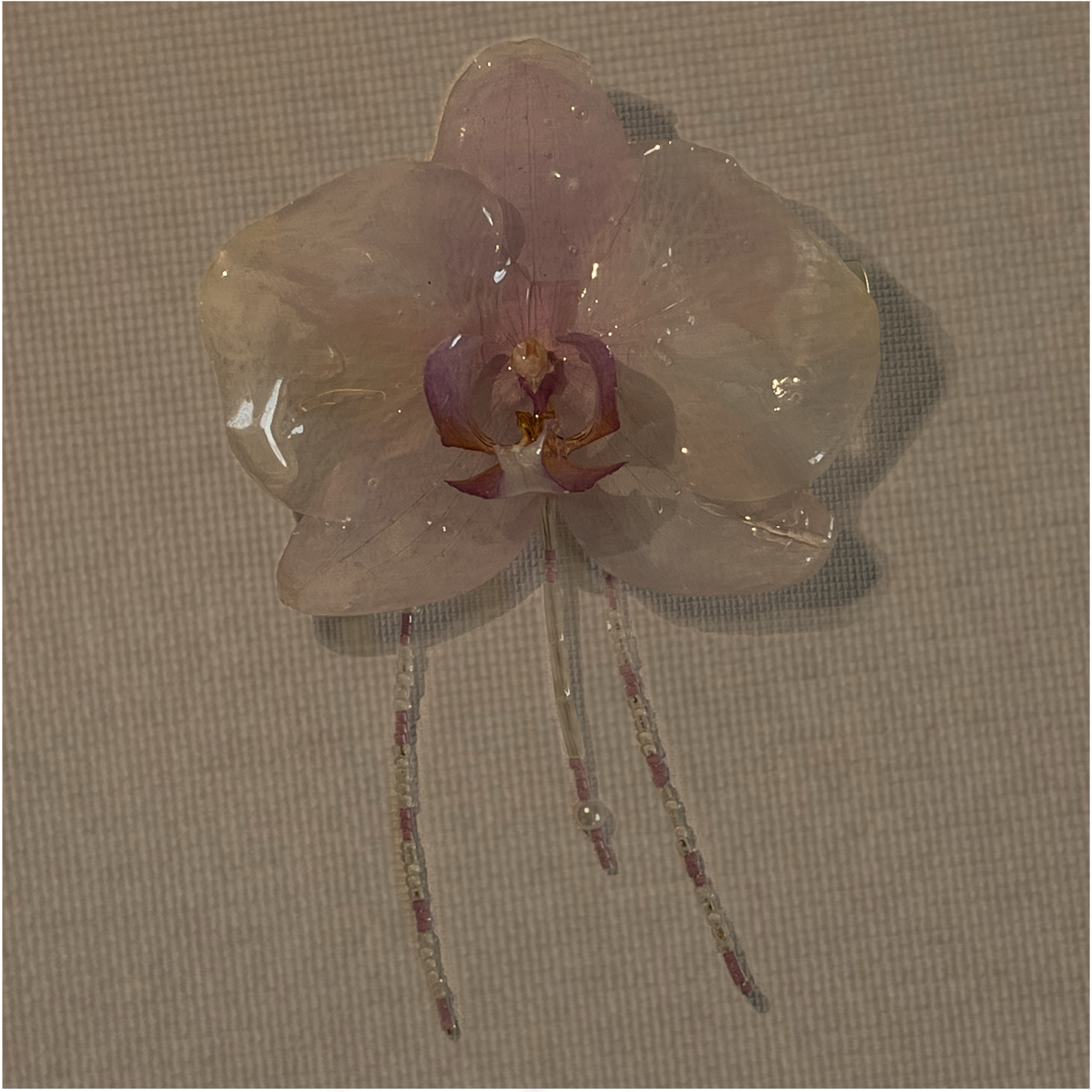 Preserved Orchid Hair-clip
