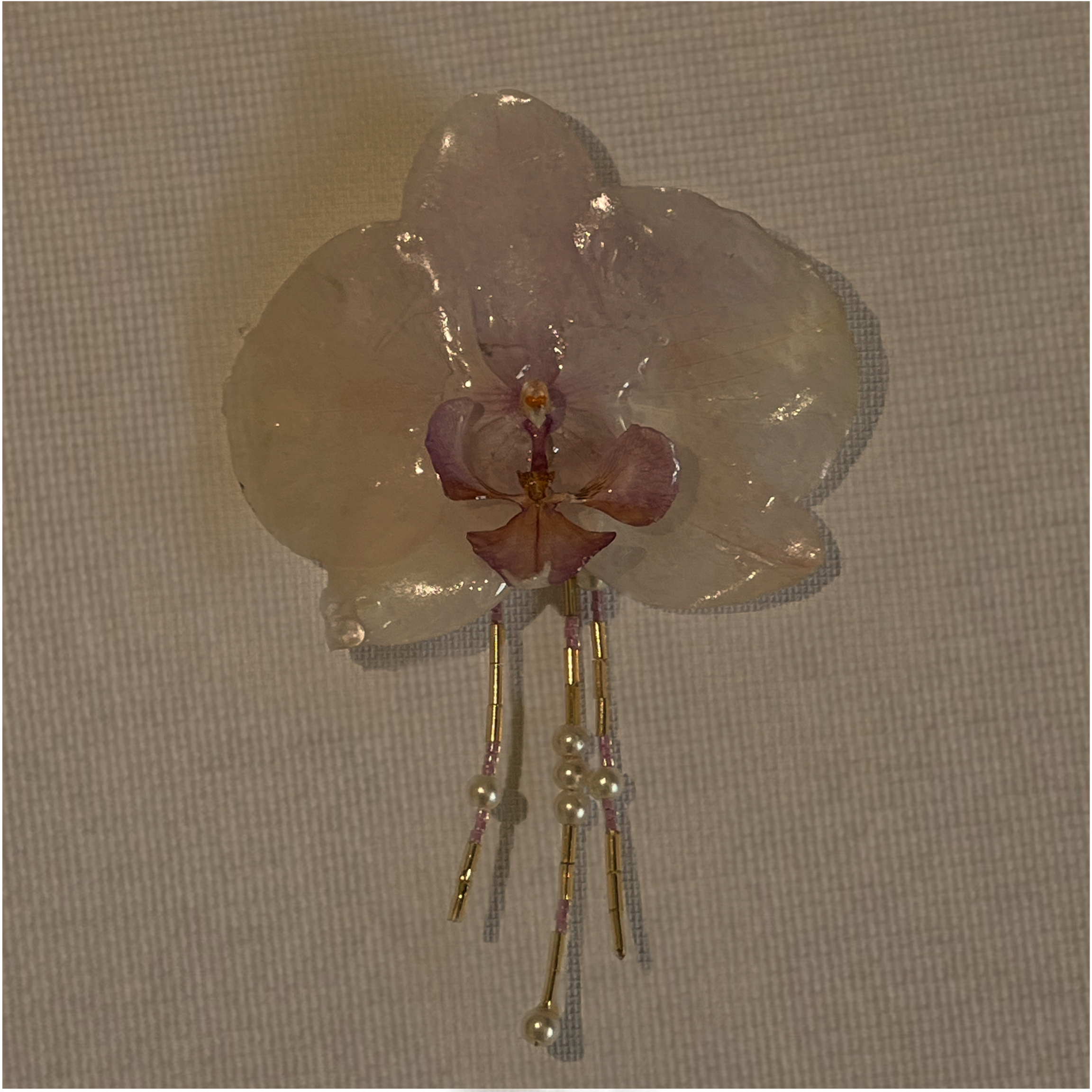 Preserved Orchid Brooch