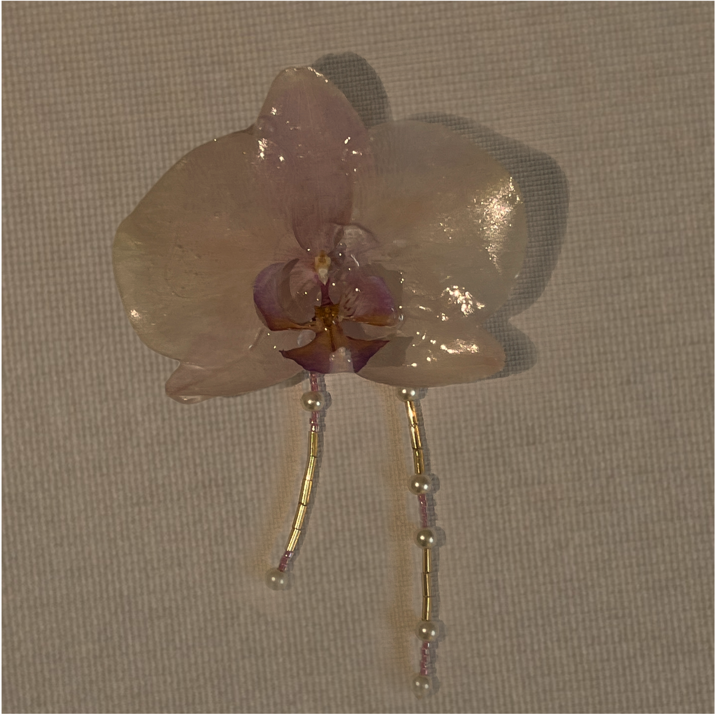 Preserved Orchid Brooch