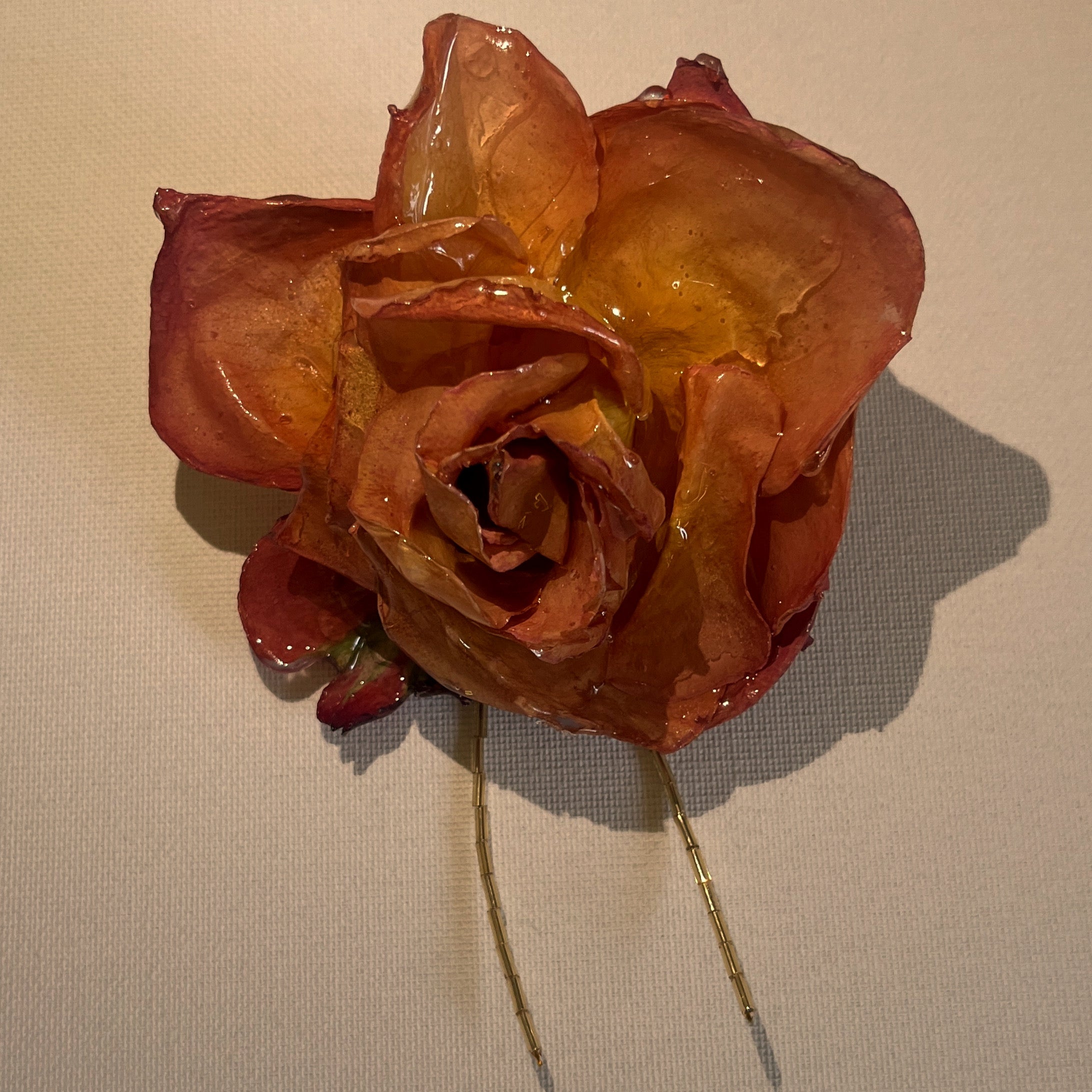 Preserved Rose Hair-clip